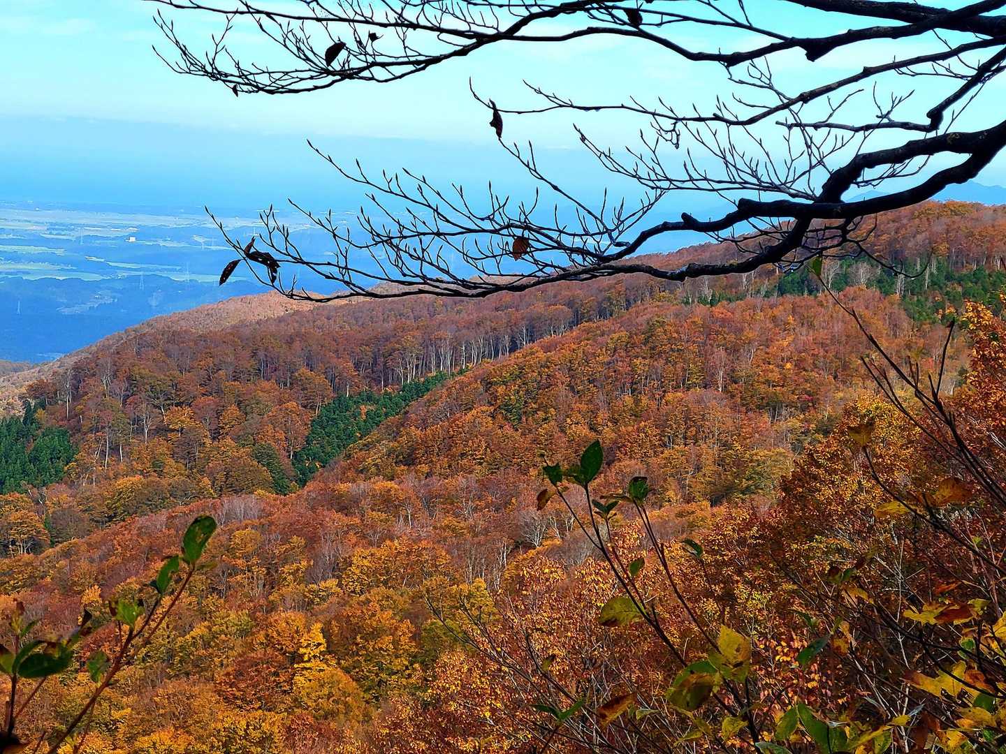 鍋倉山（関田峠登山口）の写真