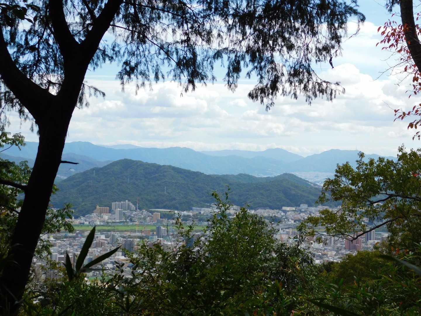 すぐにいい景色が見えた