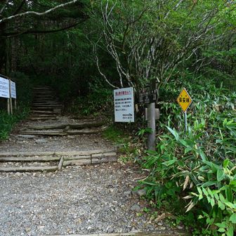 無事下山しました

最後までご覧いただき、ありがとうございました