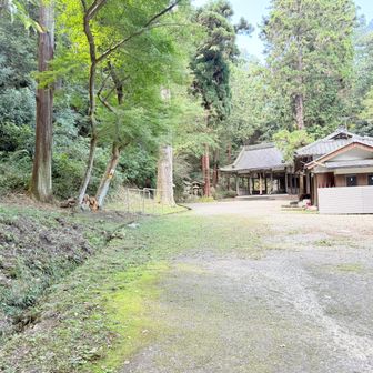 初めてのルート。神社手前の左から猪子山へ。