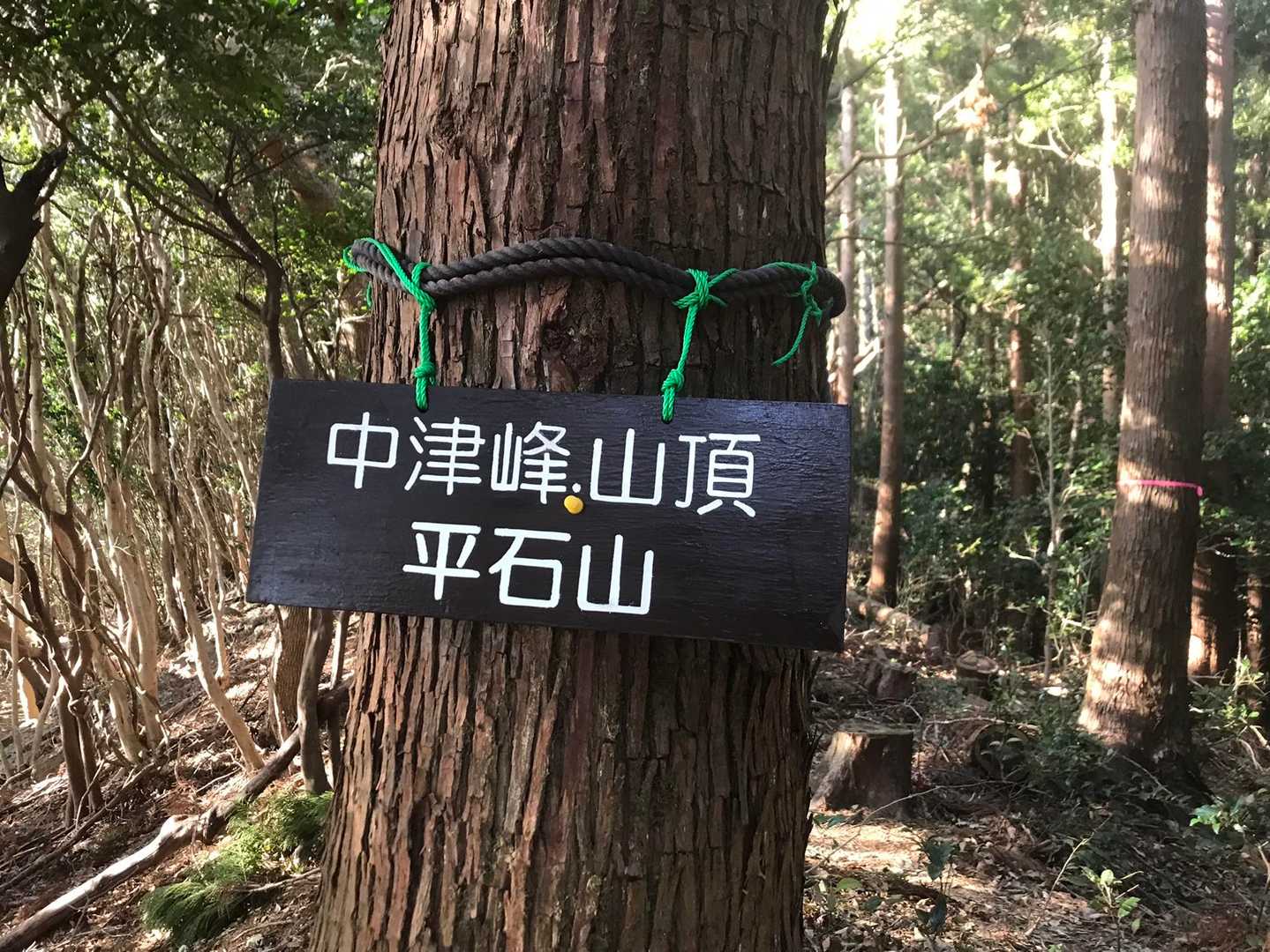 直ぐ側に立派な看板が…（ ;  ; ）
あ〰何か新旧の差を感じてしまう…