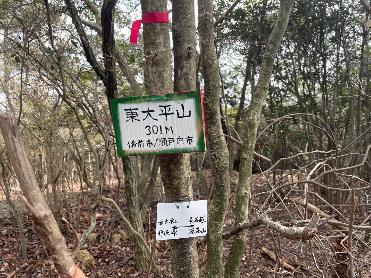 東大平山に到着。