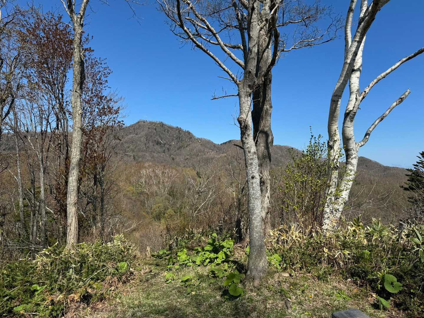近くて気が付かなかったけど、隣には砥石山。