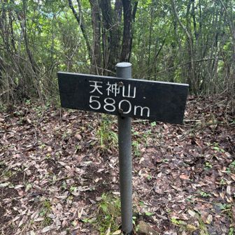 天神山登頂〜