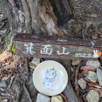 滝道からここのピークまでは急登でめっちゃしんどい💦