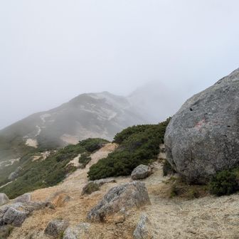 赤那岐岳・南駒ヶ岳方面。☁の中。