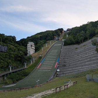 Red Bull出たかったな