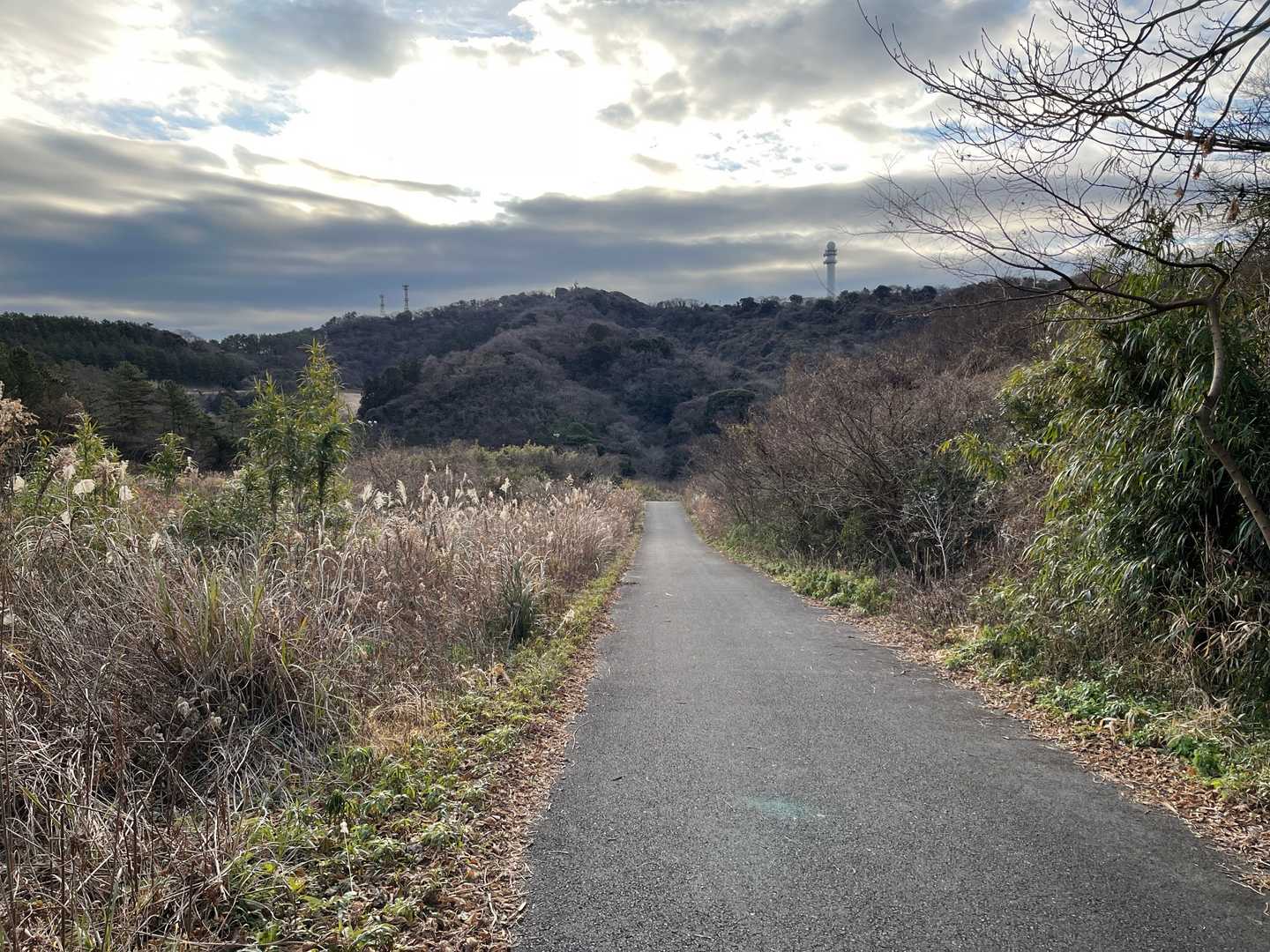 大楠山 往復コースの写真