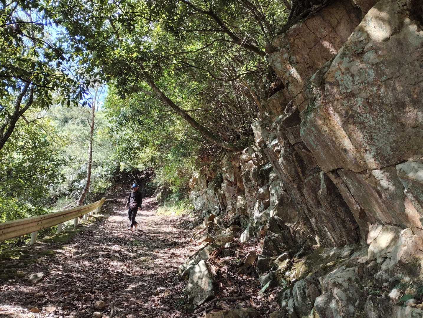 城山-鯵山峠 周回コースの写真