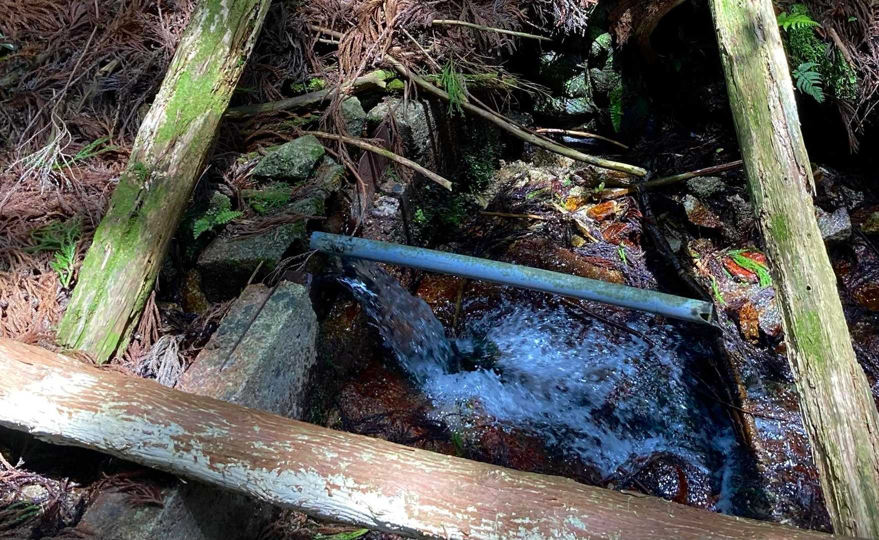水越峠バス停-水越峠-葛城山 往復コースの写真