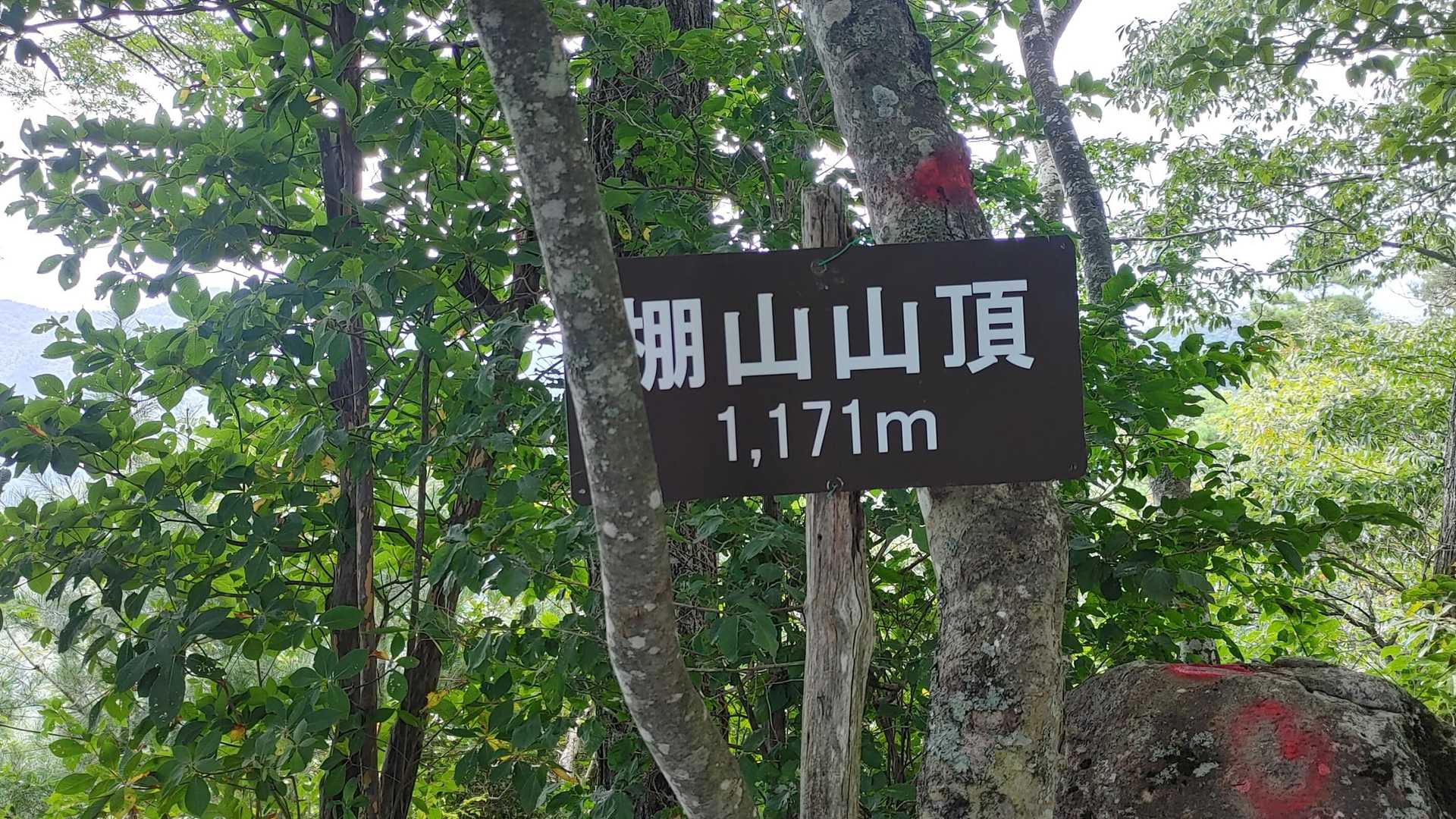 棚山山頂到着。
ここまで比較的涼しく歩く事が出来ました。