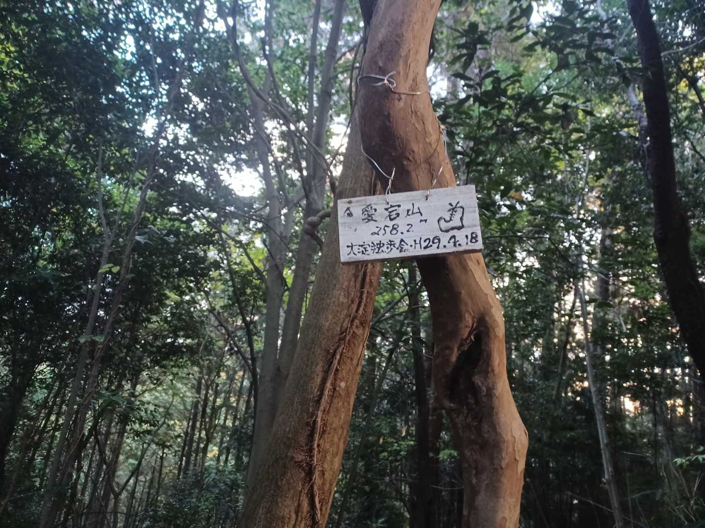 愛宕山（奈良県）の写真