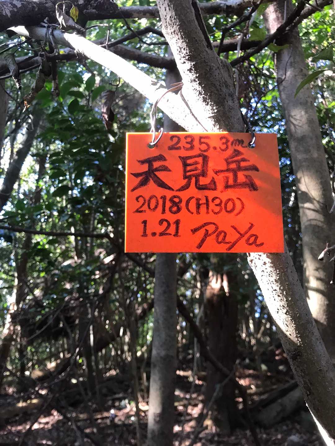 ぱやんぷーさんの山頂プレートが、これほどありがたいとは。