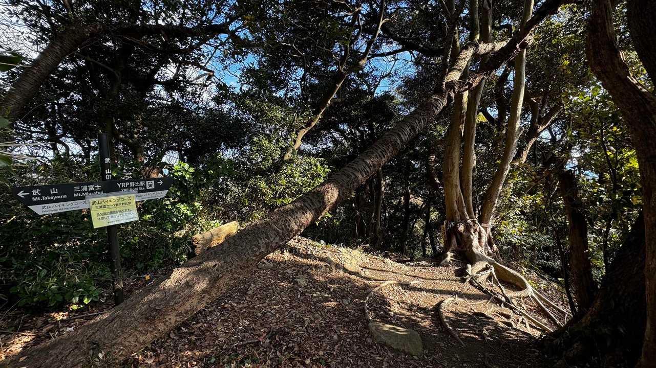 三浦富士・砲台山・武山・大楠山（大楠山・三浦富士ロングトレイル） の写真 5
