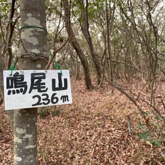 最後の鳴尾山到着🙌このあと加古川沿いまで下りていきます