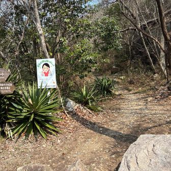 奥池の方に行けるみたい。行ってみましょうp(^_^)q