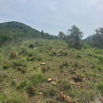 朝熊ヶ岳に向けてこんな登山道があるのにビックリ🫢