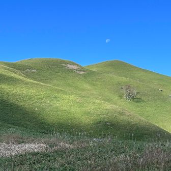 また来たいお山でした。
由布岳を思い出す、優しい雰囲気のお山ですね。
タイパ良しでわんちゃん🐶連れや、高齢の方が来られてました。
