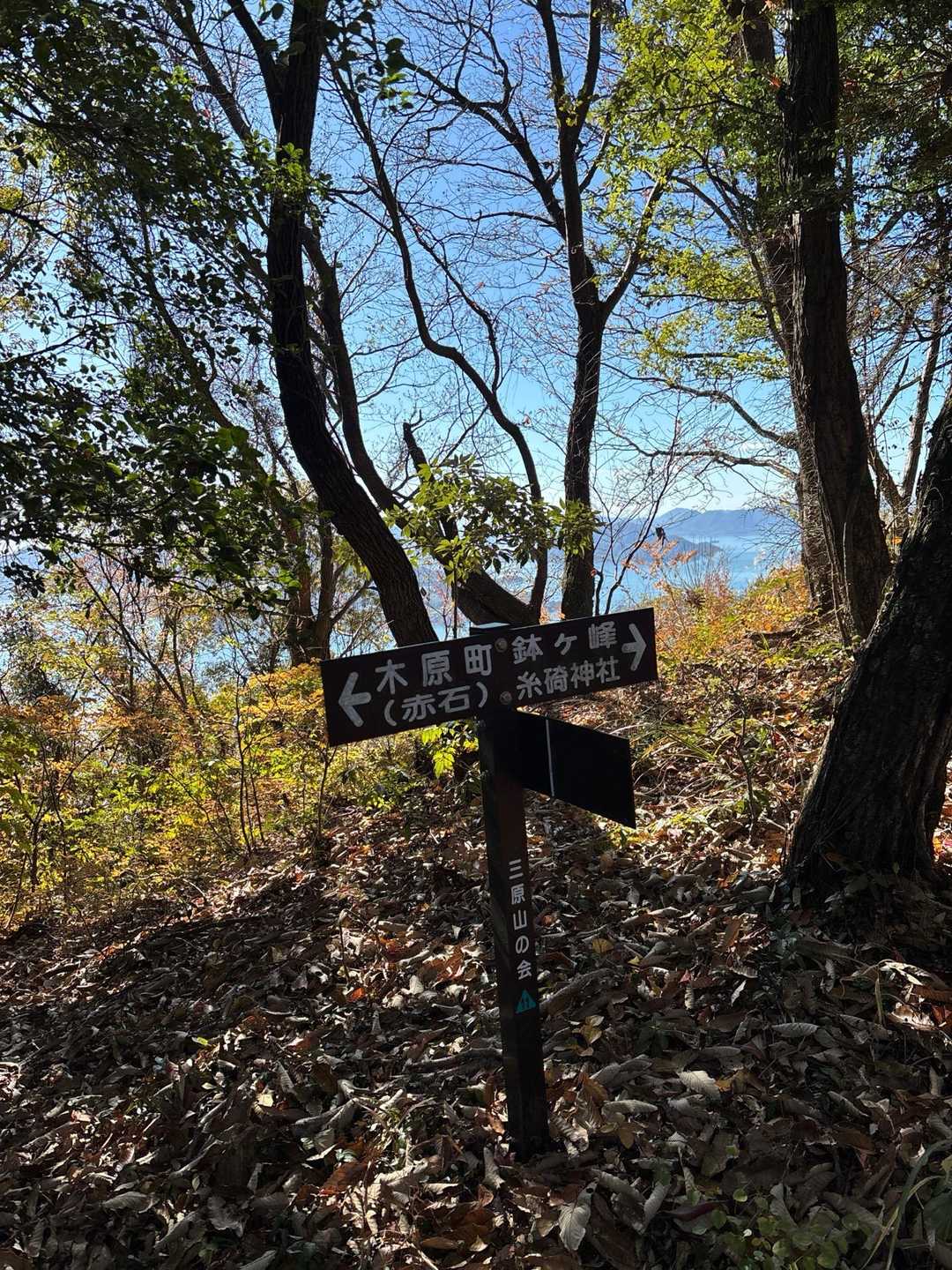 赤石バス停-大師堂-観音寺奥の院-鉢ヶ峰-大平山-米田山- 縦走コースの写真