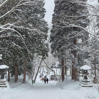 参道入口
もう素敵過ぎて撮らずにはいられない。手袋外したくないからタッチペン準備するのすっかり忘れてました。大体－8℃くらい？手がつめたい～