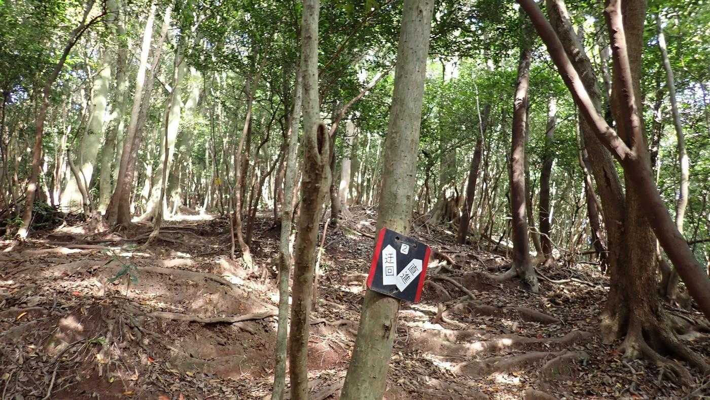 これが登りで見逃した分岐標識。
きっと下ばかり見ていたんだろう。