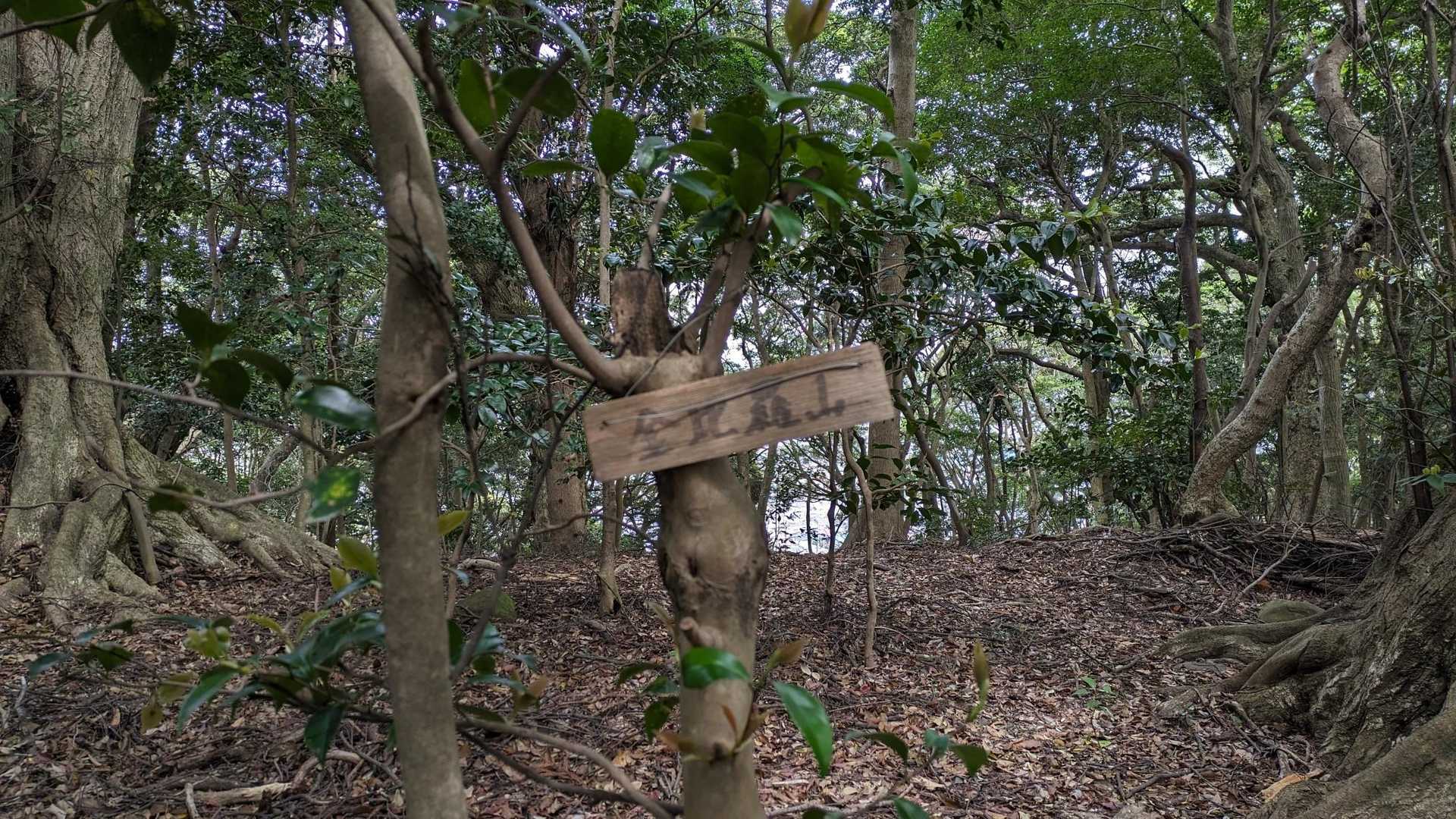 金比羅山山頂⛰。
眺望はありませんでした。