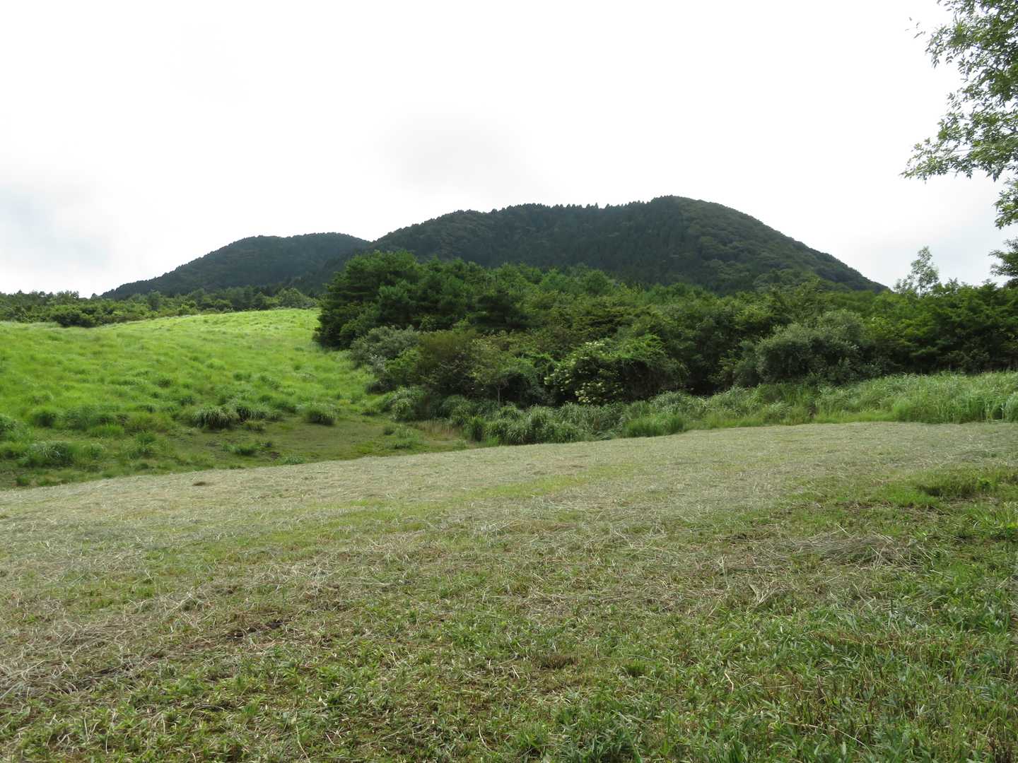 登山口から少し上から見た倉木山です。