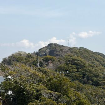 あっちが山頂かな？