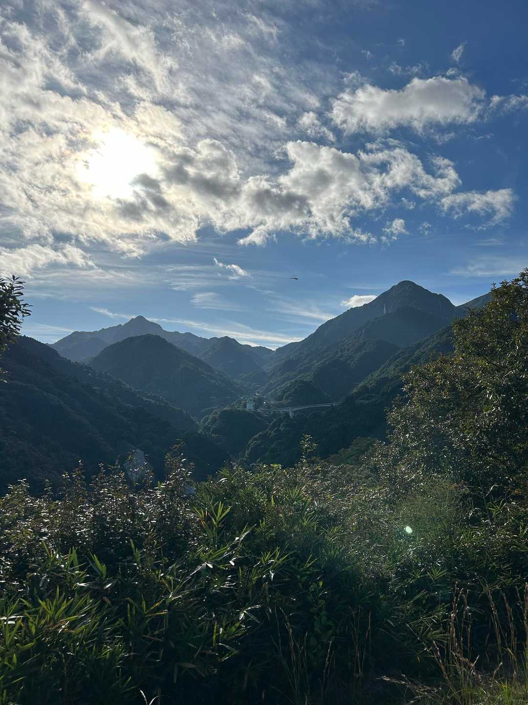 菰野富士登山口-ネコ最高点-ネコ-笠岳-菰野富士 周回コースの写真