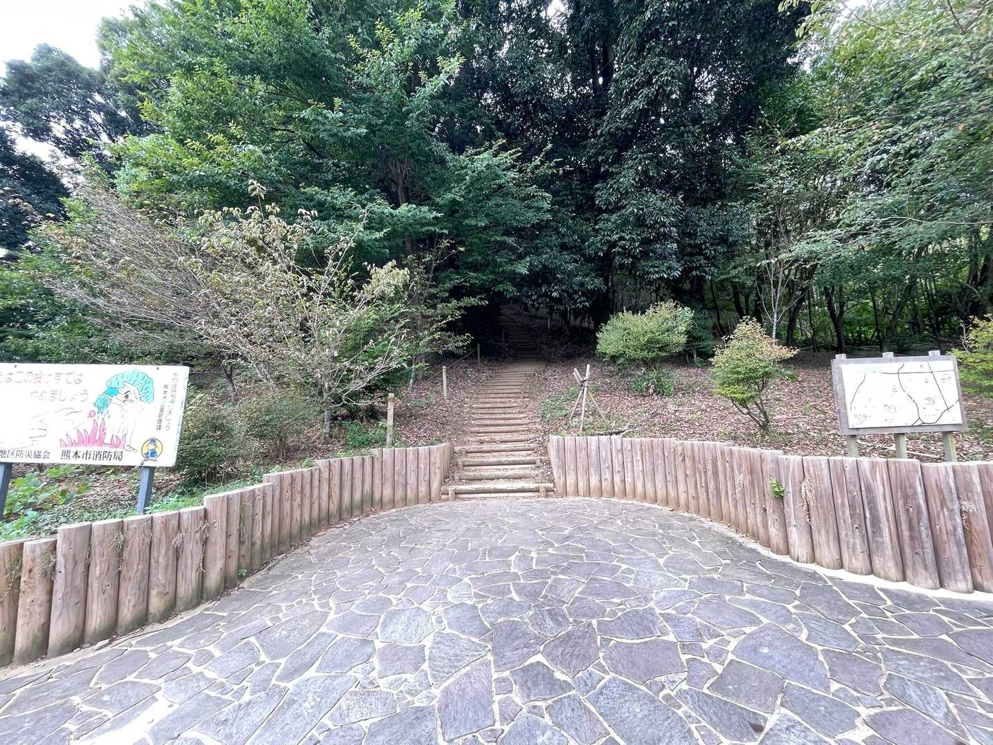 小山山おじゃまします！
ついこの前来たと思ったら…半年ぶりの小山山