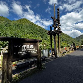 聞いたら乗せてくれるかもって、看板に書いてありました🤣(これはほんと)