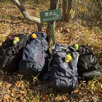腰折山登頂⛰️