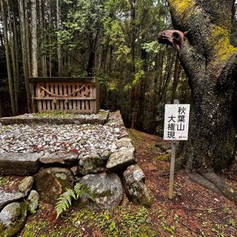 以前参考にしてた伊勢山の会の本によると役行者像が祀られた所が有ると書かれてるがここなのだろうか？、中は見えなかった