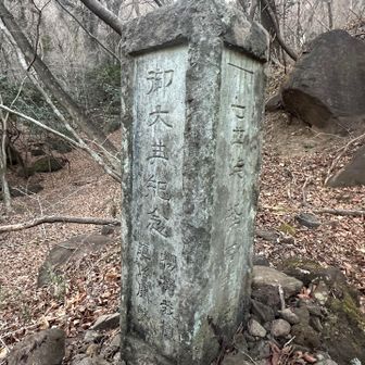 道路開通記念…的なやつ⁉️