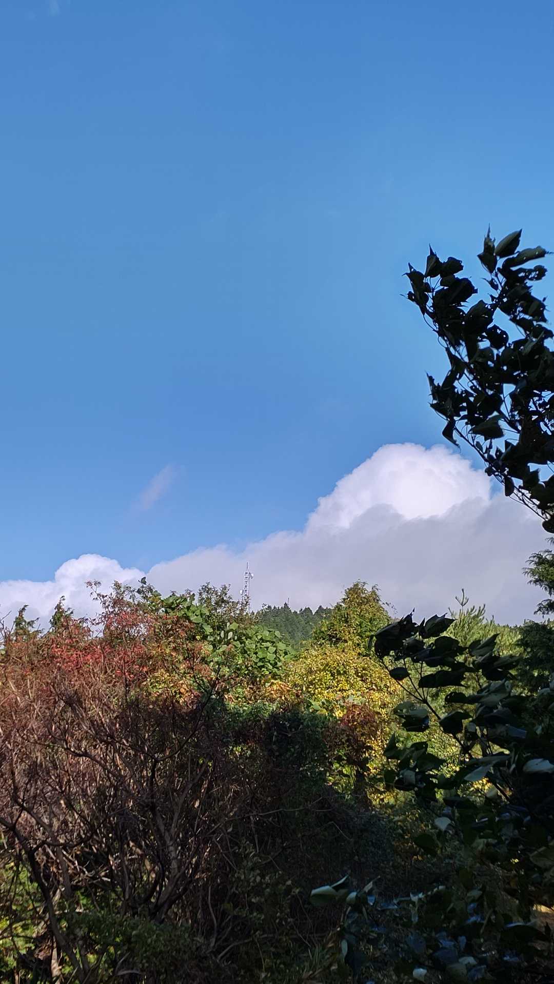 青空〜