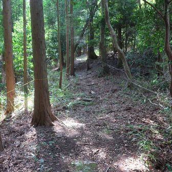こんな感じで･･･直ぐに第一展望台