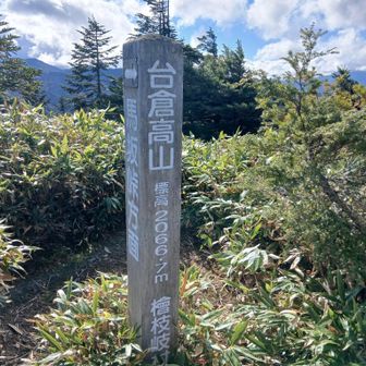 台倉高山についた
