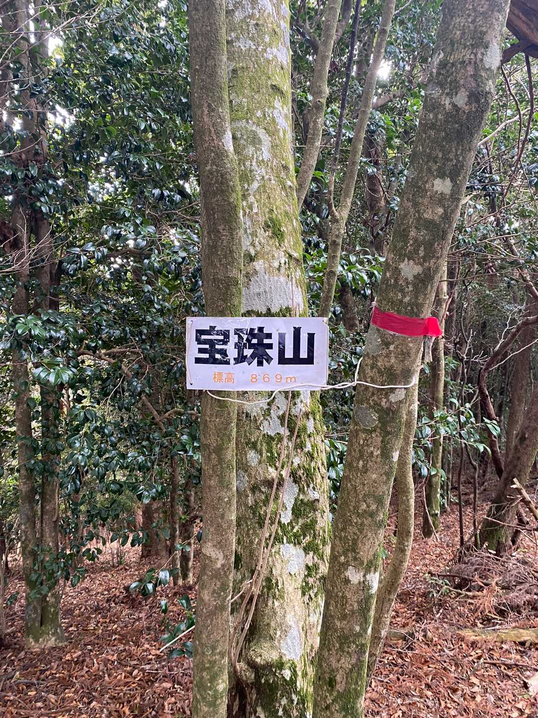 宝珠山⛰
わたしはここまでの登りの方がきつかった😭