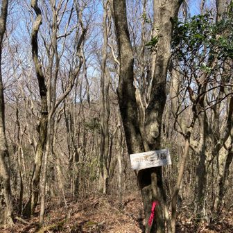 ピーク　近くに鉄塔があります