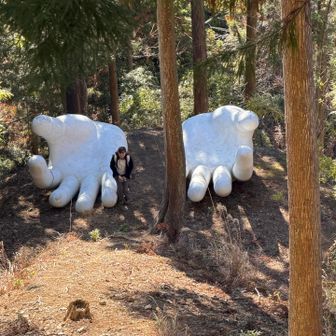 大きな白い手ですー