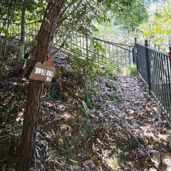 登山口
こっちから登るの初めて✨
masaちゃんの日記で見たからかな、階段の方じゃなく左側を登ると知ってて良かった🤭
ここから日浦山までは全く蜘蛛の巣がなくてビックリ！歩いてる人が多いのか！？登山道が少し広めだからかな🤔相棒はなくても大丈夫でした！