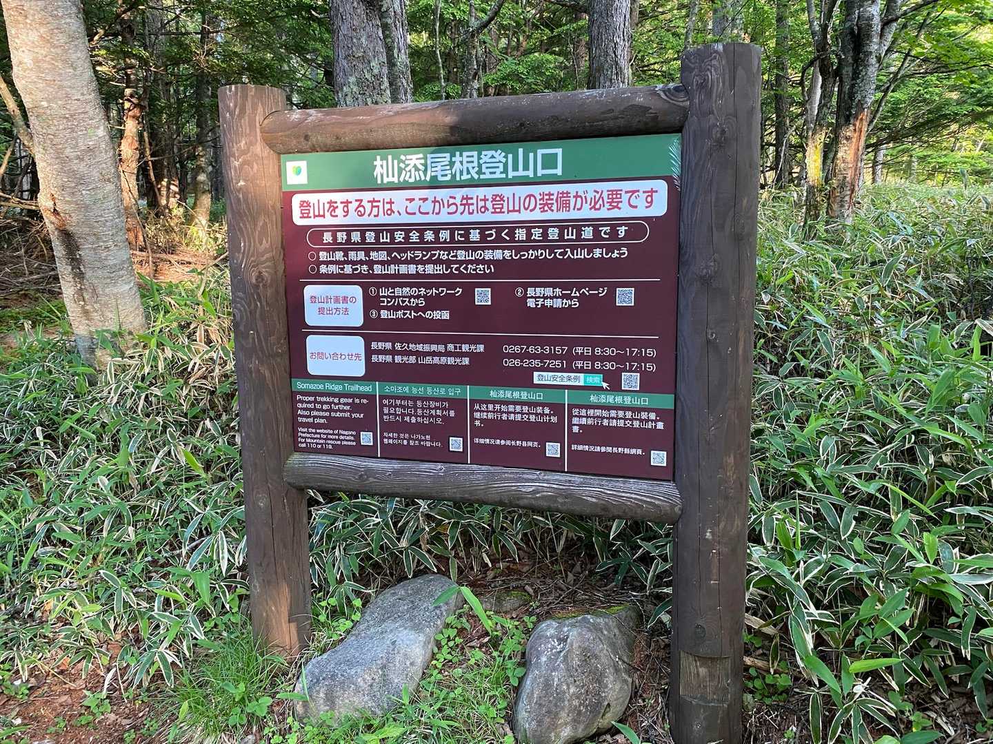お初です🪧
