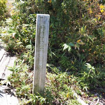 中丸山着きました💪。1562m。