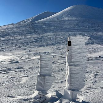 標識には、特大の霧氷🦐