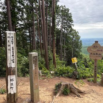 大高取山の山頂で飲むためにコーヒーとお湯を持ってきたけど、コップを忘れたので、無理矢理にサーモスに突っ込んだドリップコーヒーを抽出。
激アツでした。