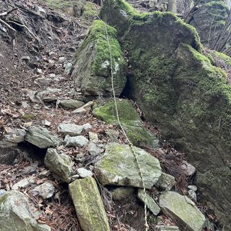 ぐんぐん登るよ