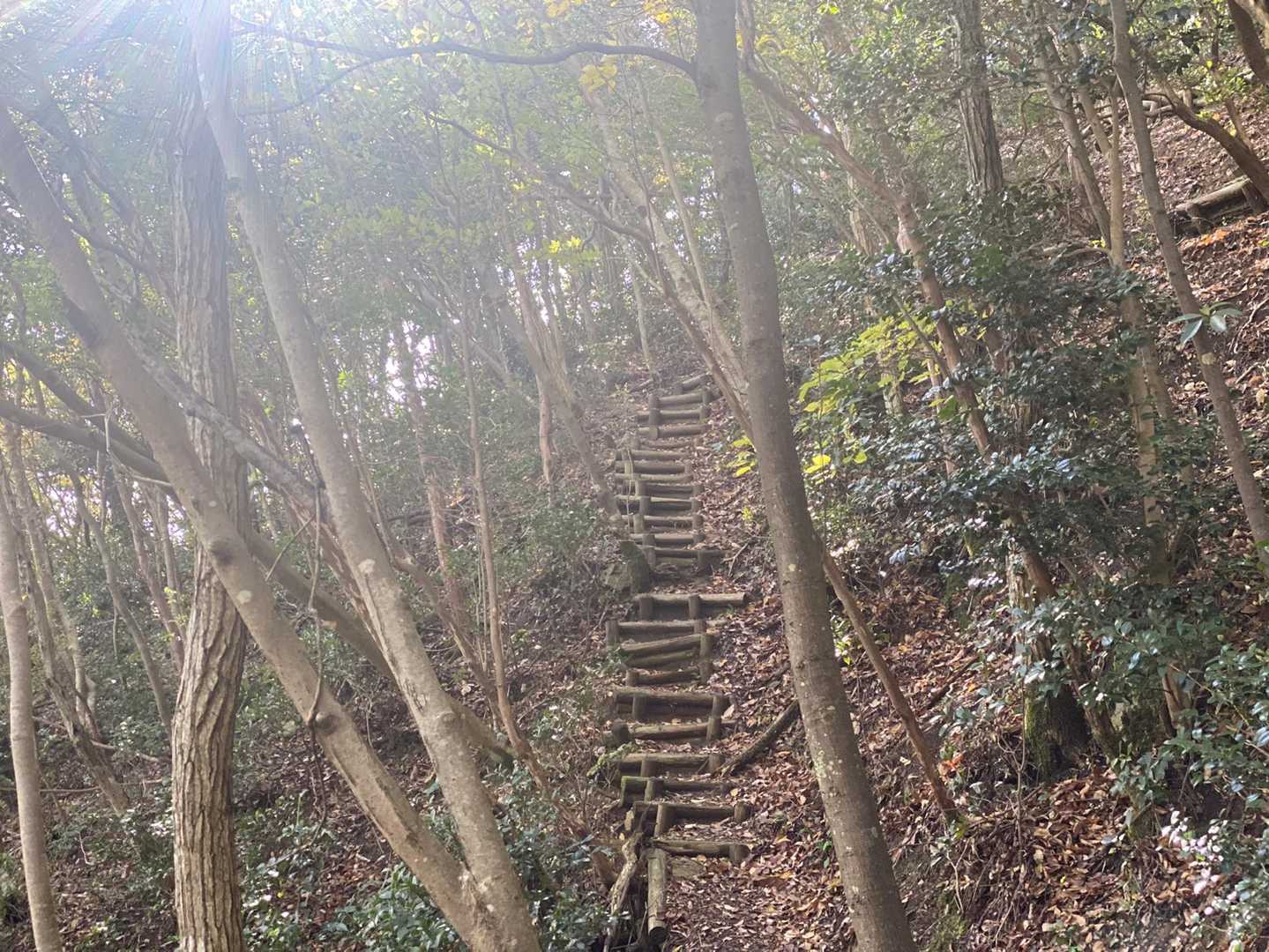 ここなかなかの急登😅
