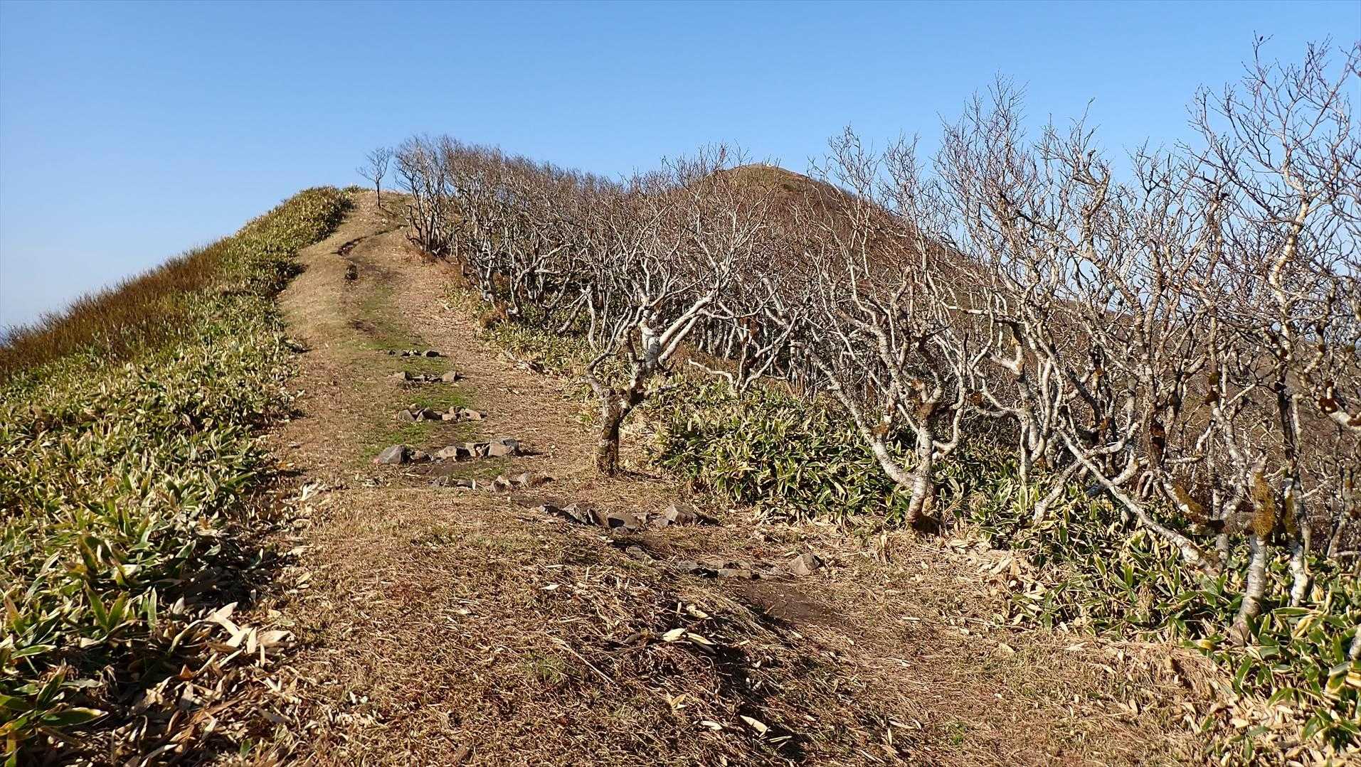 リスケ山-西別岳 往復コースの写真