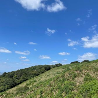 少し降りて、振り返るともう山頂は見えない