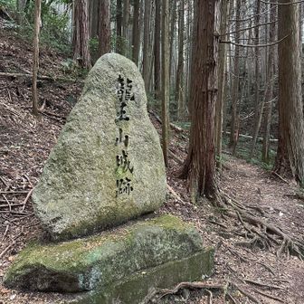 少し林道を歩き、北城入り口へ